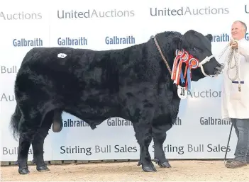  ??  ?? Overall champion at Stirling Bull Sales was Linton Gilbertine­s President from trustees of the late Gordon R Brooke.