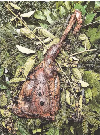  ?? FOTOS: KATHRIN GOLLACKNER/HÖLKER VERLAG ?? Rehkeule, angerichte­t mit Zutaten aus dem Wald.