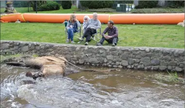  ?? RON SEYMOUR/The Daily Courier ?? Kelly Hassoli, right, and other residents of the Creekside building at the corner of Sutherland Avenue and Lindhal Street in Kelowna keep a wary eye Monday on the level of Mill Creek. Rapidly rising river levels and the likelihood of flooding in...