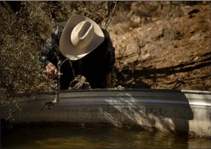  ?? ?? Chilton uses a fountain Jan. 9that he installed on a water tank on his family’s ranch.