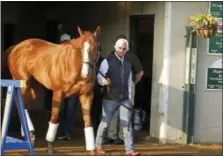 ?? GARRY JONES — THE ASSOCIATED PRESS ?? Justify, led by trainer Bob Baffert, emerges from Barn 33 to meet the public the morning after winning the 144th Kentucky Derby at Churchill Downs in Louisville, Ky., Sunday.
