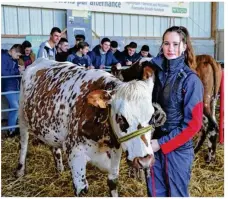  ??  ?? Noémie Gagneux, élève de seconde, avec la vache de son grand-père qui sert aux pointages.