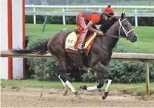  ?? THE ASSOCIATED PRESS ?? Exercise rider Martin Rivera gallops Classic Empire at Churchill Downs in Louisville, Ky., on Thursday. The Kentucky Derby will be today.