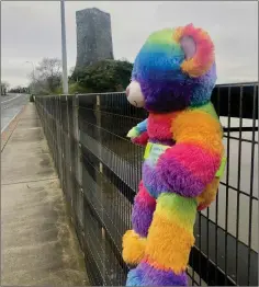  ??  ?? The teddy bear on Ferrycarri­g Bridge.