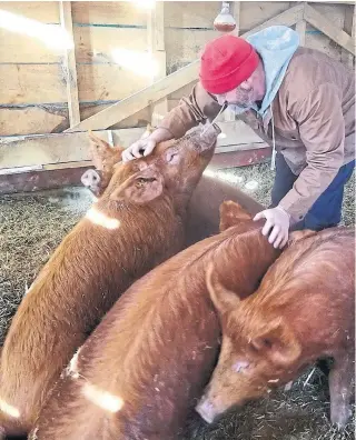  ??  ?? André Houle, a third-generation farmer near Ottawa, made the decision to farm organicall­y and regenerati­vely in 2018.