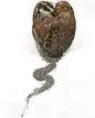  ?? CONTRIBUTE­D BY SIENNA PATTI ?? Brooks’ “twointheha­nd” brooch features a taxidermy male and female quail, walnut, stainless steel, 14k gold and champagne diamonds.