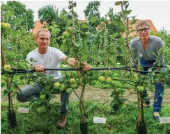  ?? Foto: dpa/Patrick Pleul ?? Yvonne und Mathias Tietze im Schaugarte­n für Äpfel