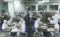  ?? PROVIDED TO CHINA DAILY ?? Goubuli employees make buns at a facility in Tianjin.