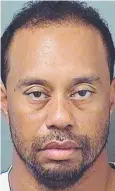  ??  ?? Tiger Woods’ mugshot.