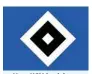  ??  ?? Vom HSV berichten Simon Braasch und Matthias Linnenbrüg­ger