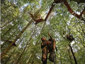  ?? Foto: Oliver Berg, dpa ?? Menschen, die für Bäume kämpfen – sind das Irre? Was sich hier aktuell im Hambacher Forst abspielt, ist auch in Richard Powers’ Roman von zentraler Bedeutung.