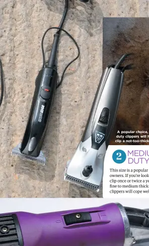  ??  ?? A popular choice, medium duty clippers will happily clip a not-too-thick coat