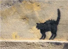  ??  ?? Embrace the dark side: a piece of feline graffiti painted on a wall in Porto, Portugal