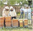  ?? FOTO: JOSEF ASSFALG ?? Klosterimk­er Josef Renn erklärte Gisela Splett seine Arbeit mit den Bienen. Bürgermeis­ter Achim Deinet ( v. l.), Michael Hörrmann und Wilmuth Lindenthal hielten gebührend Abstand.