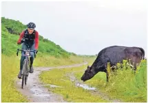  ??  ?? A Grinduro participan­t smiles and greets an unusual spectator on the cycle path.