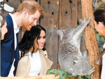  ?? PHOTOS AFP ?? Reçus par le gouverneur général d’australie Peter Cosgrove, le prince Harry et son épouse Meghan ont été inondés de cadeaux, dont une paire de Ugg miniatures et des kangourous en peluche. Sur la photo du bas, on voit le couple royal lors d’une visite au zoo de Sydney. Ils ont notamment pu admirer de près un koala.
