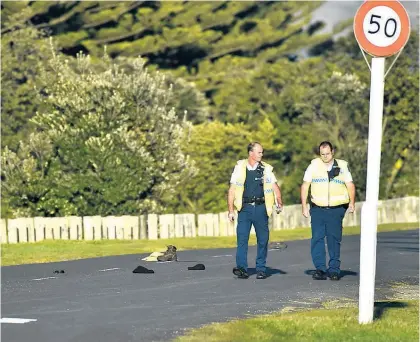  ?? Photo / Gisborne Herald ?? Peter Horne and a colleague were hit while walking on Gisborne’s Centennial Marine Drive.