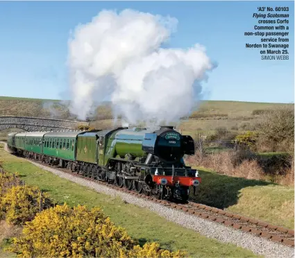  ?? SiMOn Webb ?? ‘a3’ No. 60103 Flying Scotsman crosses corfe common with a non‑stop passenger service from Norden to swanage on March 25.
