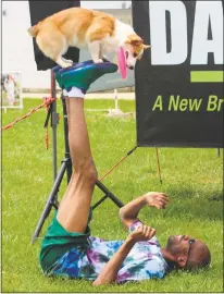  ?? STAFF PHOTO BY TIFFANY WATSON ?? Peter Williams, Disc Drive dog trainer and performer, shows off his dog Ziva’s skills at the Fifh Annual Maryland DogFest at the Charles County Fairground­s on Saturday.
