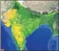  ?? UNIVERSITY OF LEICESTER ?? The normalised difference vegetation index over India, calculated from data collected by NASA’s MODIS space sensor.