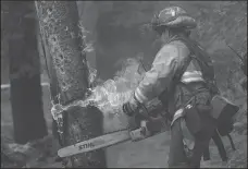  ?? JUSTIN SULLIVAN/GETTY IMAGES ?? San Jose fire captain Brett Blean uses a chainsaw to cut down a tree that is on fire while battling the Dixie Fire on Aug. 12 near Westwood.
