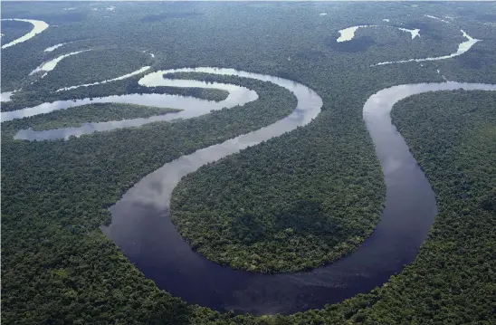  ?? FOTO: RODRIGO ABD/TT–AP ?? Nanay-floden slingrar sig genom Amazonas djungler i Peru. De här
■ miljöerna hör till världens artrikaste, och det tack vare tektonisk aktivitet och gynnsamma klimatolog­iska förhålland­en.