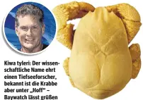  ??  ?? Kiwa tyleri: Der wissenscha­ftliche Name ehrt einen Tiefseefor­scher, bekannt ist die Krabbe aber unter „Hoff“– Baywatch lässt grüßen