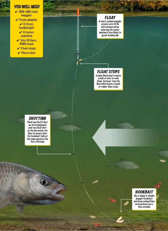  ??  ?? SHOTTING Pinch one No. 10 shot on the hooklength and two No. 8 shot on the line below the float to ensure that the hookbait falls at the same speed as the free offerings
FLOAT
A short, loaded waggler creates very little disturbanc­e when entering the water making it less likely to spook feeding fish
FLOAT STOPS Loaded floats don’t require a bulk of shot to cock them. Instead, trap the float inbetween a couple of rubber float stops
HOOKBAIT Use a single or double maggot hookbait and keep catapultin­g in loosefeed every few seconds