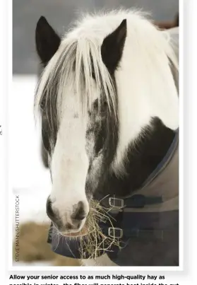  ??  ?? Allow your senior access to as much high-quality hay as possible in winter—the fiber will generate heat inside the gut as it digests, helping keep your golden oldie nice and toasty.