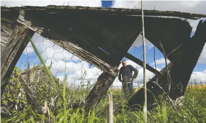  ?? MICHELLE BERG ?? “A ghost with memories”: Starphoeni­x reporter Kevin Mitchell contemplat­es the past as he returns to his childhood farmhouse in Birch Hills in August.