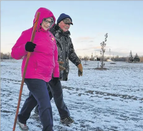  ?? ADAM MACINNIS/THE NEWS ?? Tom and Isabel Davis enjoy a winter hike in Acadia Park, in Westville.