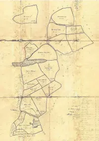  ?? DAVID ASHWORTH ?? An 1810 map of the Hilfield Estate at that time.