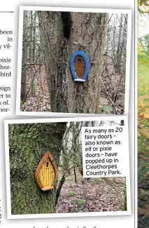  ??  ?? As many as 20 fairy doors – also known as elf or pixie doors – have popped up in Cleethorpe­s Country Park.