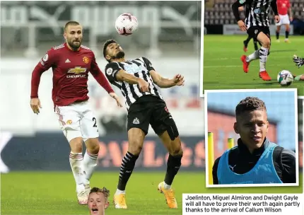  ??  ?? Joelinton, Miguel Almiron and Dwight Gayle will all have to prove their worth again partly thanks to the arrival of Callum Wilson