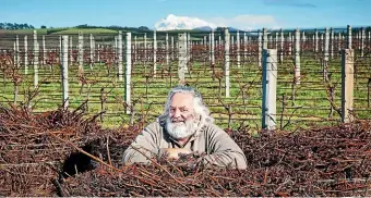  ?? STUFF ?? Peter Yealands, 70, refused to comment on his share sale or resignatio­n as a director of the company he founded in 2002, Yealands Wine Group.