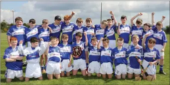  ??  ?? Oylegate-Glenbrien celebrate after being presented with the shield.