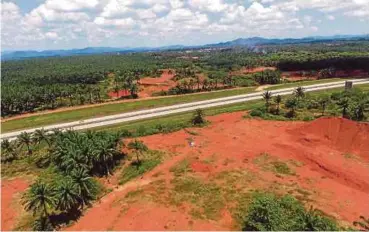  ?? PIC BY MUHD ASYRAF SAWAL ?? All is quiet in oil palm plantation­s in Felda Bukit Goh, Kuantan, since the moratorium on bauxite mining was imposed on Jan 15, 2016.