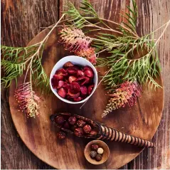  ??  ?? Below, clockwise from top: Taste and smell bush tucker on the Bush Tucker Experience; Red Centre dining in Uluru – Kata Tjuta National Park; Local flora is edible at Ayers Rock Resort.
Opposite page from top: Wagyu Beef Fillet; Learning about what you...