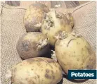  ??  ?? Potatoes