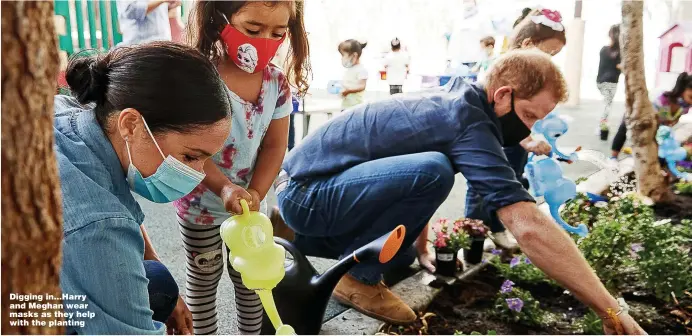  ?? Pictures: PA ?? Digging in... Harry and Meghan wear masks as they help with the planting