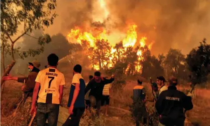  ??  ?? Villagers attempt to put out a wildfire in the Kabylie region of Tizi Ouzou, Algeria, on 11 August. Photograph: Abdelaziz Boumzar/Reuters