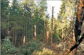  ?? COURTESY OF THE MADISON COUNTY DEPARTMENT OF EMERGENCY SERVICES ?? The path of destructio­n left behind by a confirmed EF-1tornado in Georgetown on Tuesday.