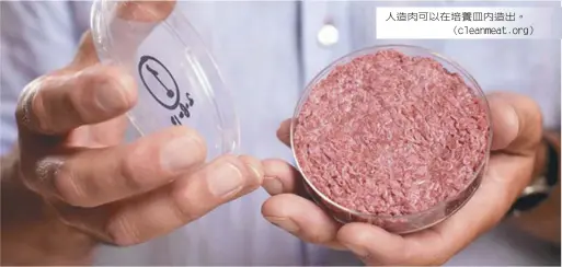  ??  ?? 人造肉可以在培養皿內­造出。（cleanmeat.org）