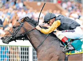  ??  ?? Fast track: Waldpfad heads to Haydock Park on Saturday for the Betfair Sprint Cup