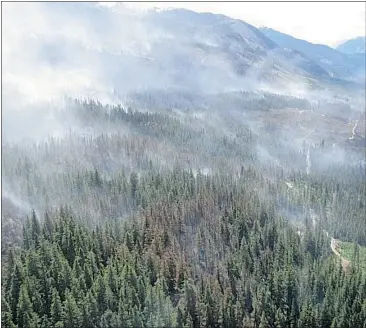  ?? — B.C. WILDFIRE MANAGEMENT BRANCH ?? The 611-hectare Elaho Valley fire near Squamish is 45 per cent contained, officials say. Tinder-dry conditions are expected all week
