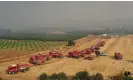  ?? Anadolu Agency/Getty Images ?? Firefighte­rs prepare to tackle a wildfire in Turkey’s Çanakkale province. Photograph: