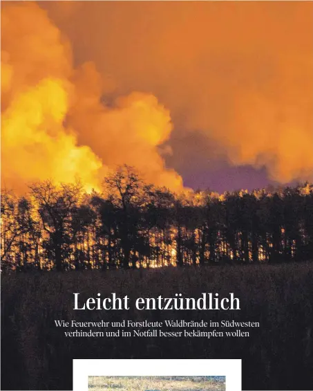  ?? FOTO: IMAGO/B&S/BERND MÄRZ ?? Bislang war Baden-Württember­g kein Waldbrandl­and wie etwa Brandenbur­g oder Sachsen. Das werde sich aber wegen des Klimawande­ls in den kommenden Jahren ändern, sagen Naturschüt­zer, Feuerwehrl­eute, Forstarbei­ter und inzwischen auch die Politik.