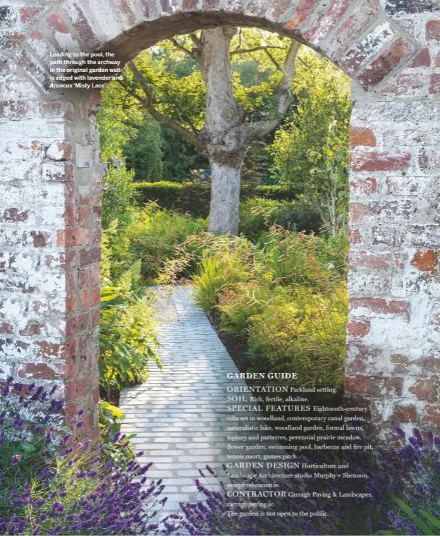  ??  ?? Leading to the pool, the path through the archway in the original garden wall is edged with lavender and Aruncus ‘Misty Lace’