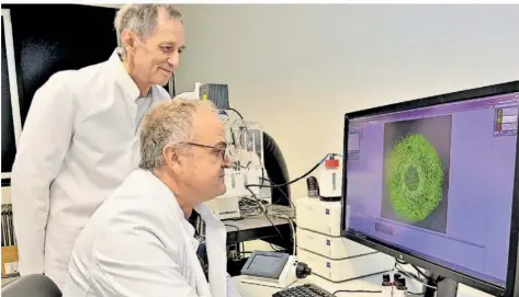  ?? FOTO: PETER BYLDA ?? Cornelius Welter (links) und Rainer Hanselmann forschen in den Labors der IB Cancer-Research Stiftung in Saarbrücke­n. Sie sind überzeugt, dass es außer Erbgutverä­nderungen weitere Auslöser für Krebserkra­nkungen gibt.
