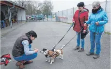  ?? FOTOS: BIG ?? Hier kommen alle gut miteinande­r aus: Tierheimbe­sucherin Petra Spornik, die Gassigänge­rinnen Ute Mory und Anni Beier (von links) sowie die beiden Terrier-Mischlinge Chip und Chap.